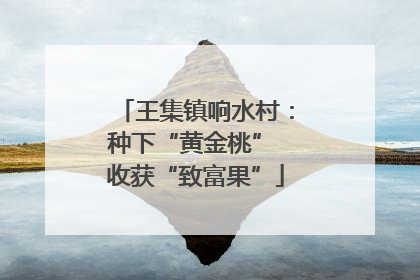 王集镇响水村：种下“黄金桃” 收获“致富果”