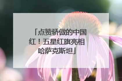 点赞骄傲的中国红！五星红旗亮相哈萨克斯坦