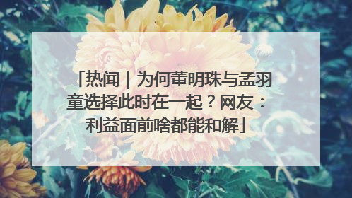 热闻｜为何董明珠与孟羽童选择此时在一起？网友：利益面前啥都能和解