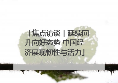 焦点访谈｜延续回升向好态势 中国经济展现韧性与活力