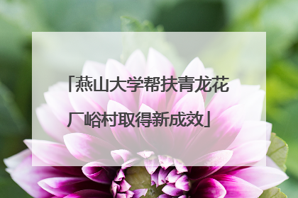 燕山大学帮扶青龙花厂峪村取得新成效