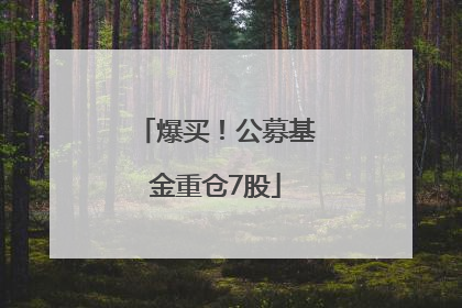 爆买！公募基金重仓7股