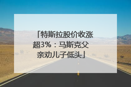 特斯拉股价收涨超3%：马斯克父亲劝儿子低头