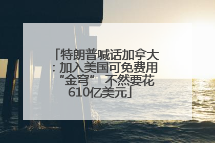 特朗普喊话加拿大：加入美国可免费用“金穹” 不然要花610亿美元