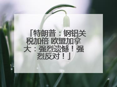 特朗普：钢铝关税加倍 欧盟加拿大：强烈遗憾！强烈反对！