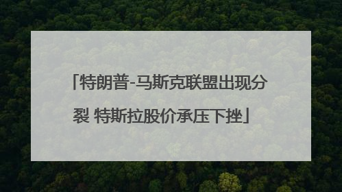 特朗普-马斯克联盟出现分裂 特斯拉股价承压下挫