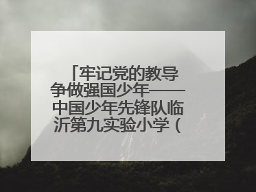 牢记党的教导 争做强国少年——中国少年先锋队临沂第九实验小学（北校区）第三次代表大会胜利召开