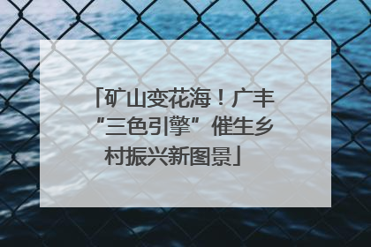 矿山变花海！广丰“三色引擎”催生乡村振兴新图景