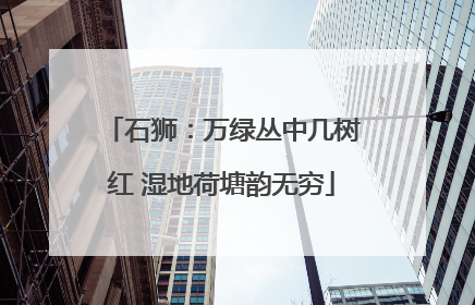 石狮：万绿丛中几树红 湿地荷塘韵无穷