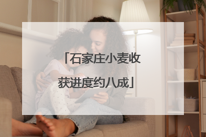 石家庄小麦收获进度约八成