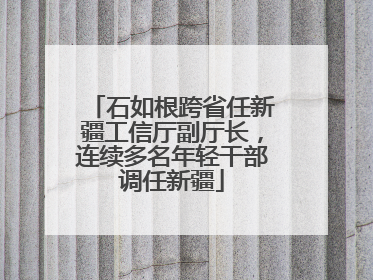 石如根跨省任新疆工信厅副厅长，连续多名年轻干部调任新疆