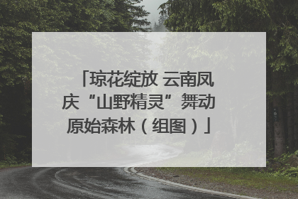 琼花绽放 云南凤庆“山野精灵”舞动原始森林（组图）