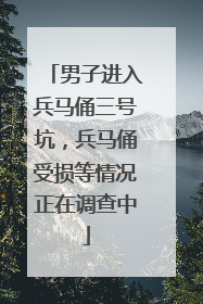 男子进入兵马俑三号坑，兵马俑受损等情况正在调查中