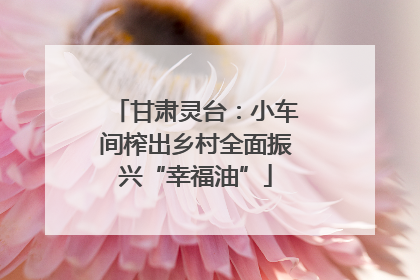 甘肃灵台：小车间榨出乡村全面振兴“幸福油”