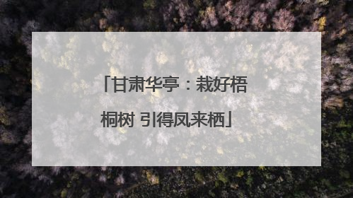 甘肃华亭：栽好梧桐树 引得凤来栖