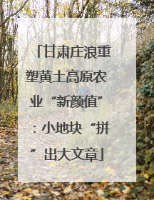 甘肃庄浪重塑黄土高原农业“新颜值”：小地块“拼”出大文章