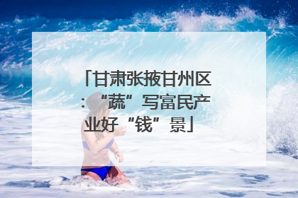 甘肃张掖甘州区：“蔬”写富民产业好“钱”景