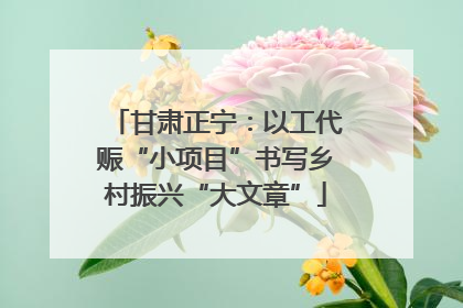 甘肃正宁：以工代赈“小项目”书写乡村振兴“大文章”