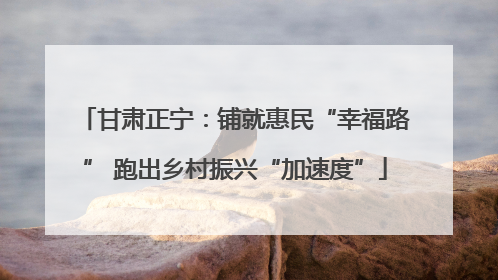 甘肃正宁：铺就惠民“幸福路” 跑出乡村振兴“加速度”
