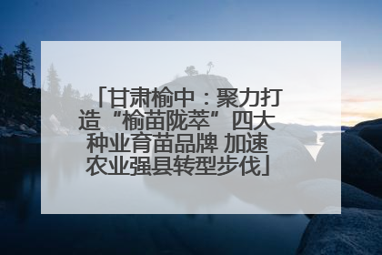 甘肃榆中：聚力打造“榆苗陇萃”四大种业育苗品牌 加速农业强县转型步伐