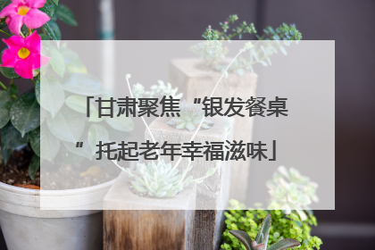 甘肃聚焦“银发餐桌”托起老年幸福滋味