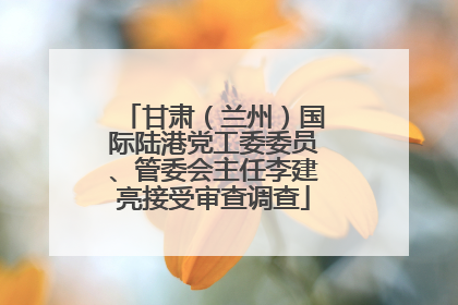 甘肃（兰州）国际陆港党工委委员、管委会主任李建亮接受审查调查