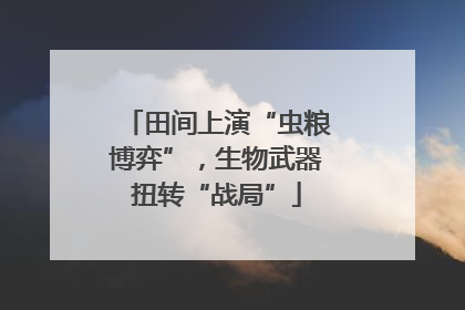 田间上演“虫粮博弈”，生物武器扭转“战局”