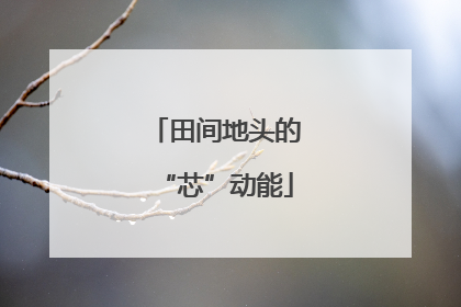 田间地头的“芯”动能