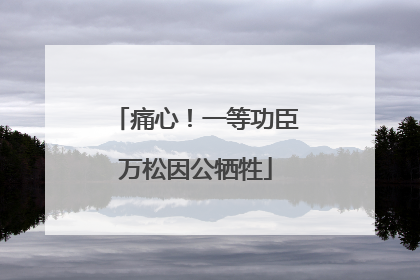 痛心！一等功臣万松因公牺牲