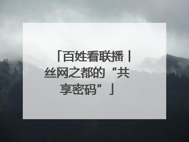 百姓看联播丨丝网之都的“共享密码”