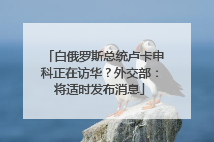 白俄罗斯总统卢卡申科正在访华？外交部：将适时发布消息