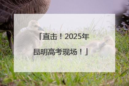 直击！2025年昆明高考现场！