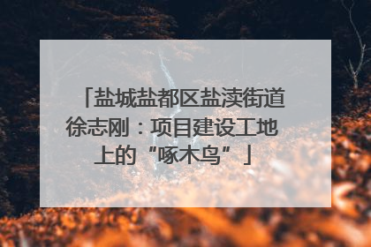 盐城盐都区盐渎街道徐志刚：项目建设工地上的“啄木鸟”