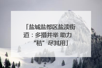 盐城盐都区盐渎街道：多措并举 助力“秸”尽其用