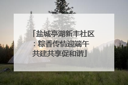 盐城亭湖新丰社区：粽香传情迎端午 共建共享促和谐