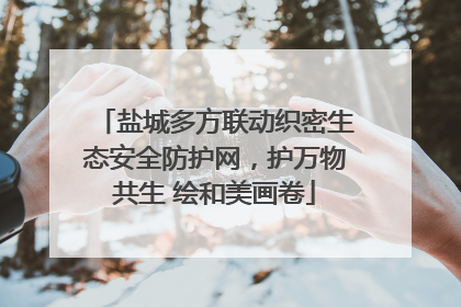 盐城多方联动织密生态安全防护网，护万物共生 绘和美画卷