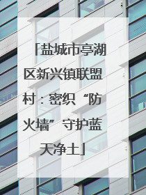盐城市亭湖区新兴镇联盟村：密织“防火墙”守护蓝天净土