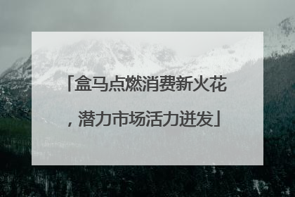 盒马点燃消费新火花，潜力市场活力迸发