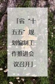 省“十五五”规划编制工作推进会议召开