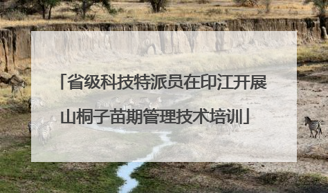 省级科技特派员在印江开展山桐子苗期管理技术培训