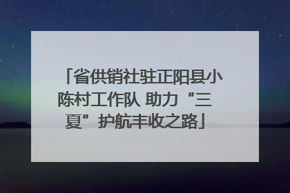 省供销社驻正阳县小陈村工作队 助力“三夏”护航丰收之路