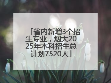 省内新增3个招生专业，烟大2025年本科招生总计划7520人