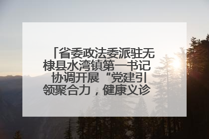 省委政法委派驻无棣县水湾镇第一书记 协调开展“党建引领聚合力，健康义诊惠乡亲”义诊活动