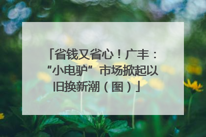 省钱又省心！广丰：“小电驴”市场掀起以旧换新潮（图）