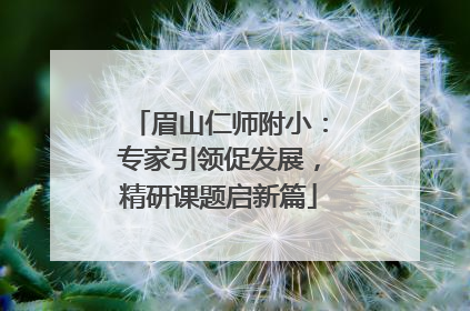 眉山仁师附小：专家引领促发展，精研课题启新篇