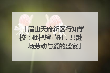 眉山天府新区行知学校：枇杷橙黄时，共赴一场劳动与爱的盛宴