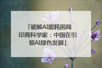 破解AI能耗困局 印裔科学家：中国在引领AI绿色发展