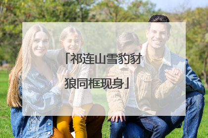 祁连山雪豹豺狼同框现身