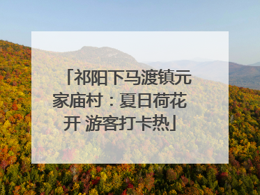 祁阳下马渡镇元家庙村：夏日荷花开 游客打卡热