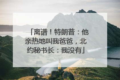 离谱！特朗普：他亲热地叫我爸爸，北约秘书长：我没有